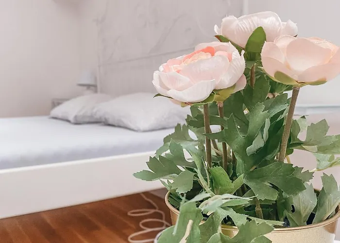 호텔 Blue Lotus 3*