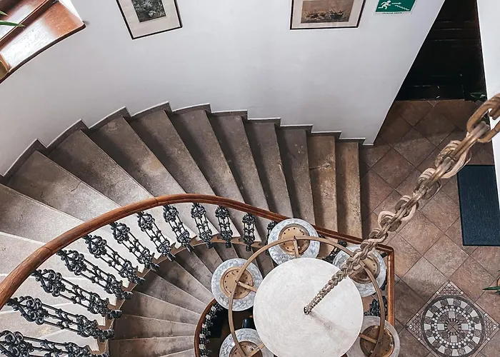 Blue Lotus 브라티슬라바